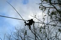 Unterwegs in Costa Rica &ndash; &copy; Annett Müller (Eberhardt TRAVEL)